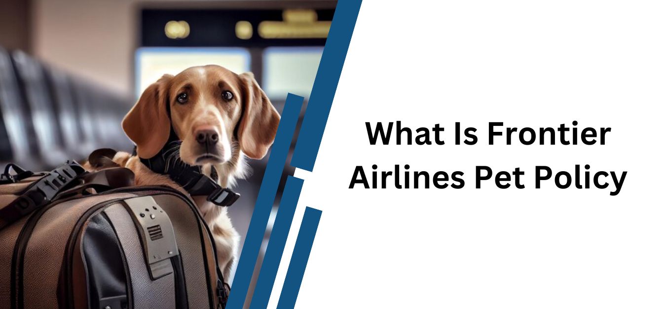 What Is Frontier Airlines Pet Policy